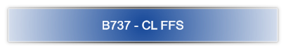 B737 - CL FFS