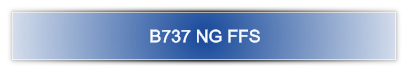 B737 NG FFS